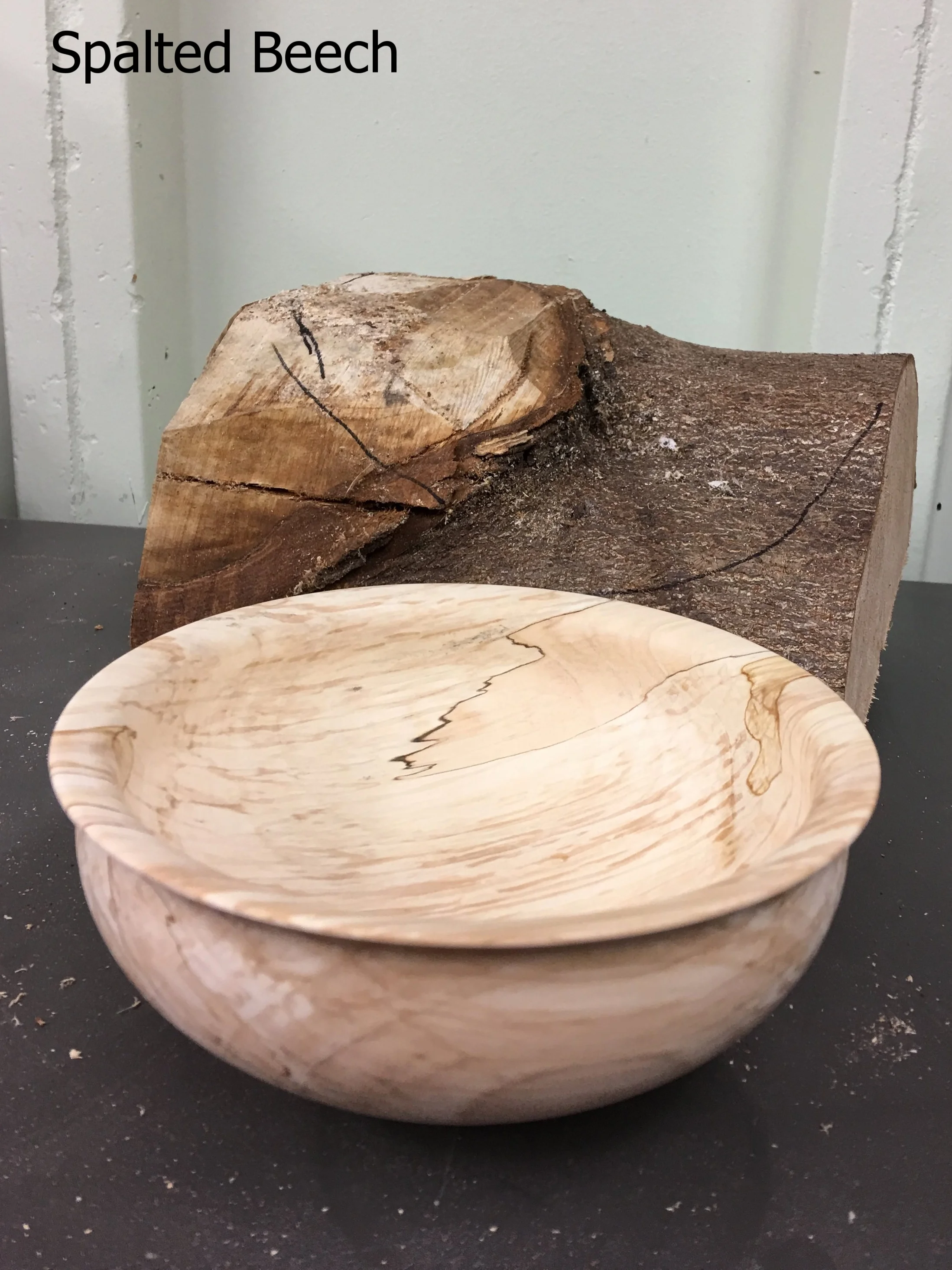 Spalted Beech