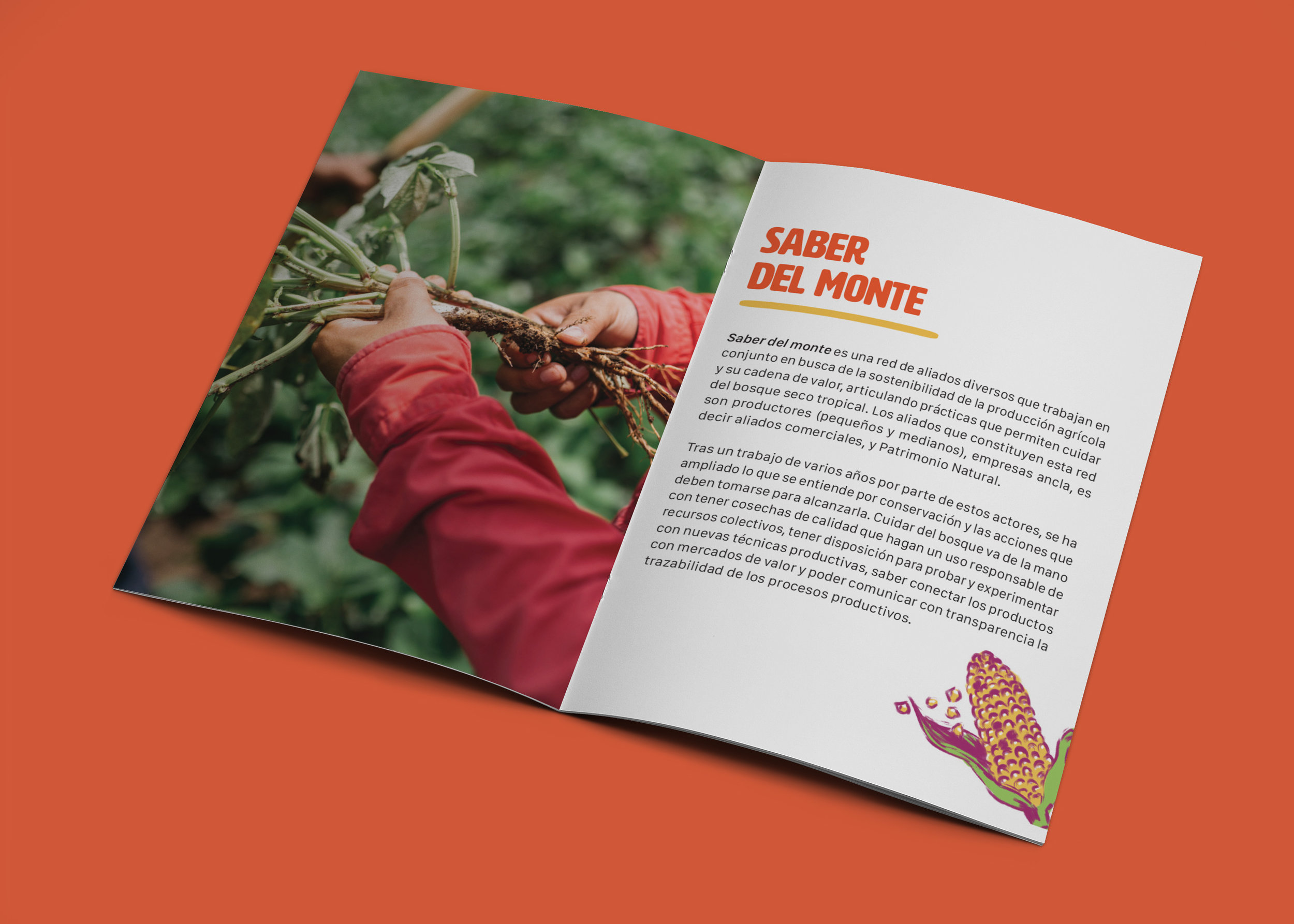Informative Brochure