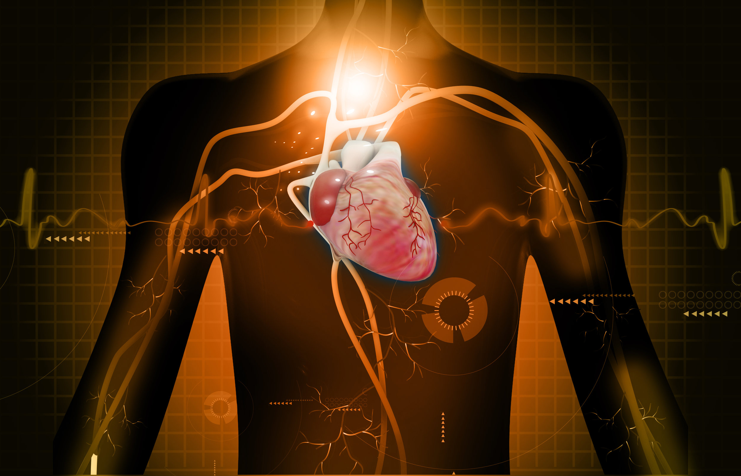 Cardio Heart Support.jpg