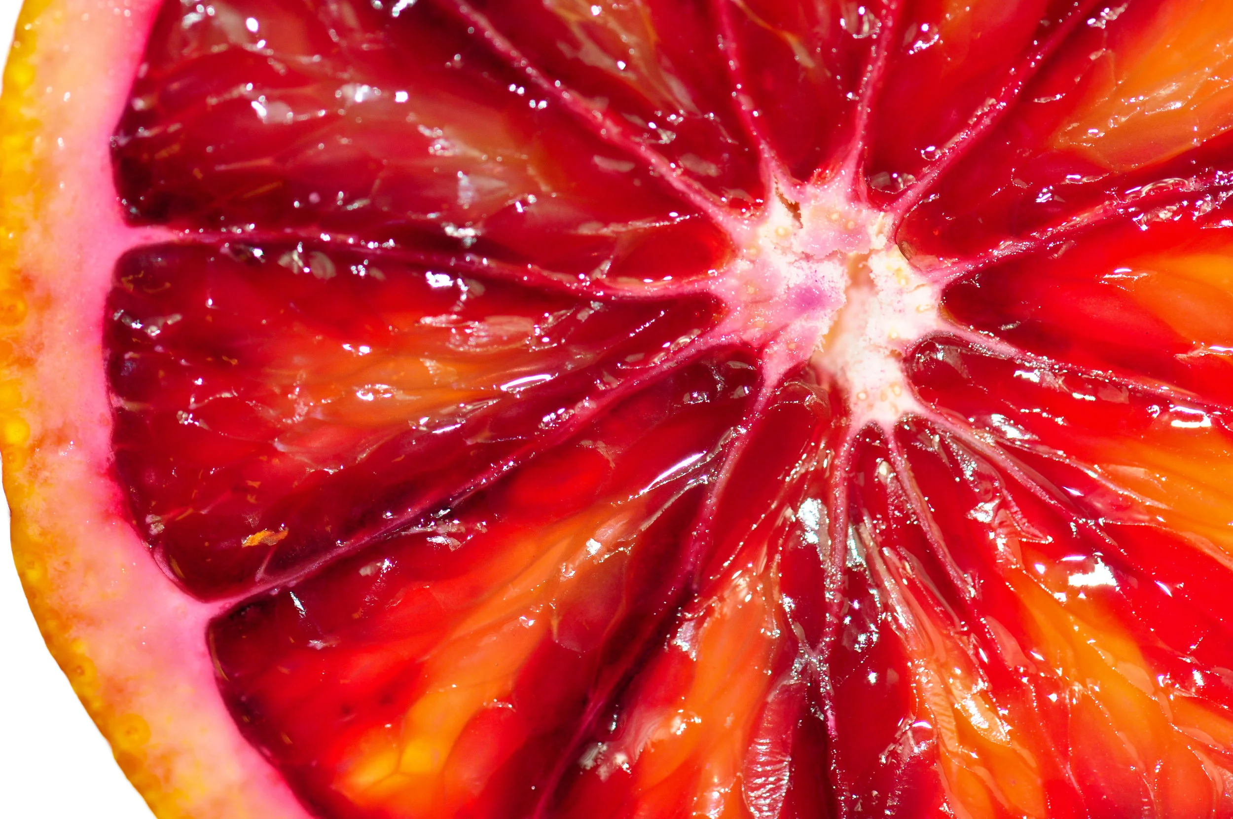 Blood Orange.jpg