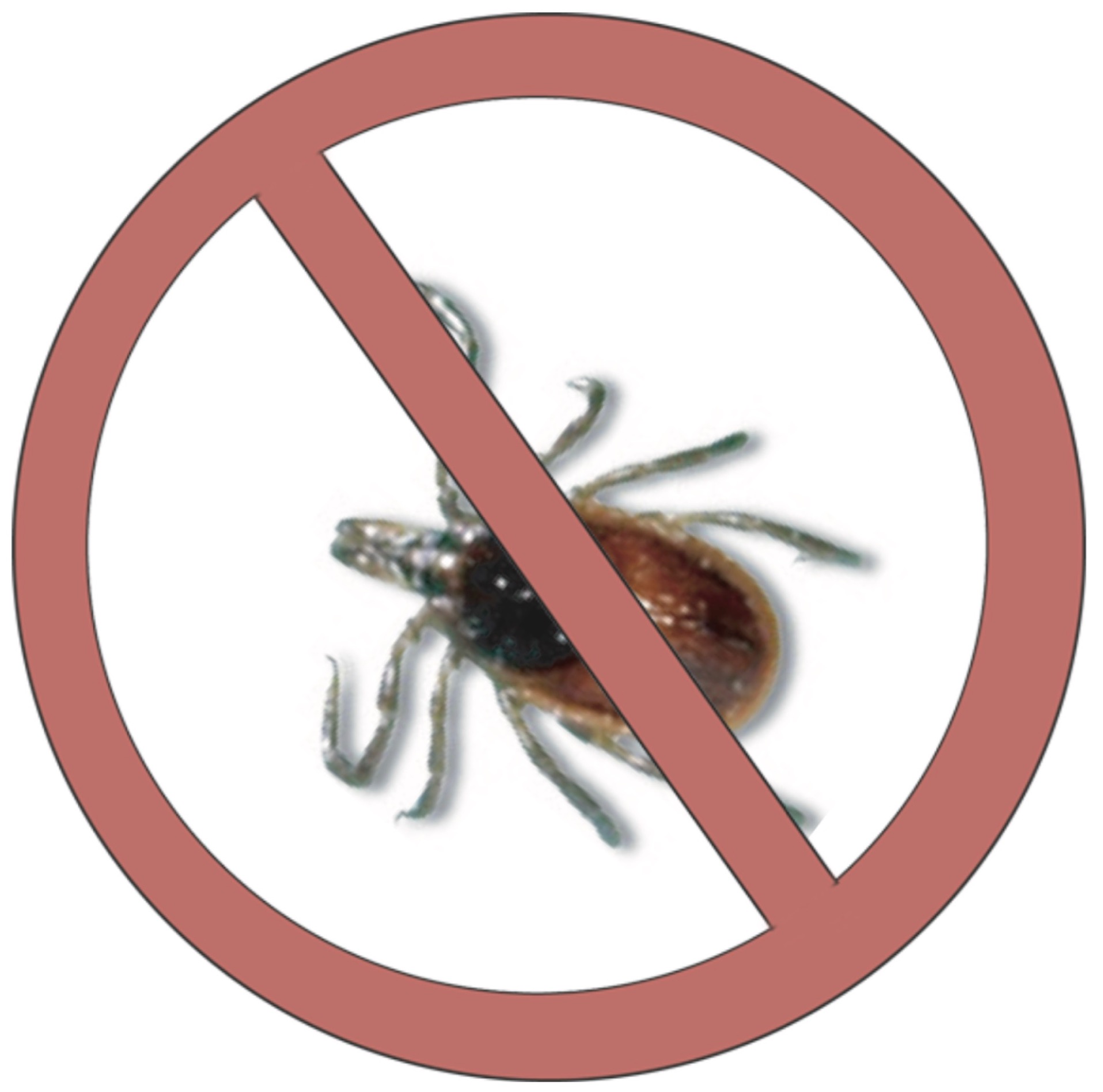 No Tick Bug Logo (1).jpg