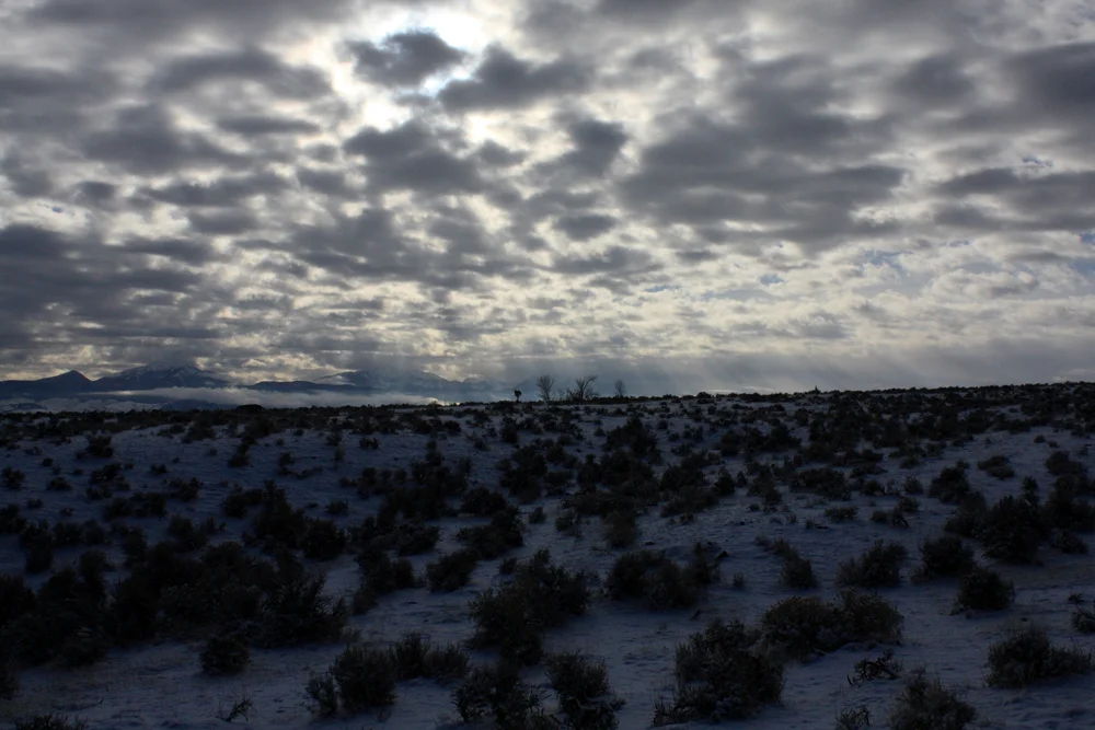Landscape