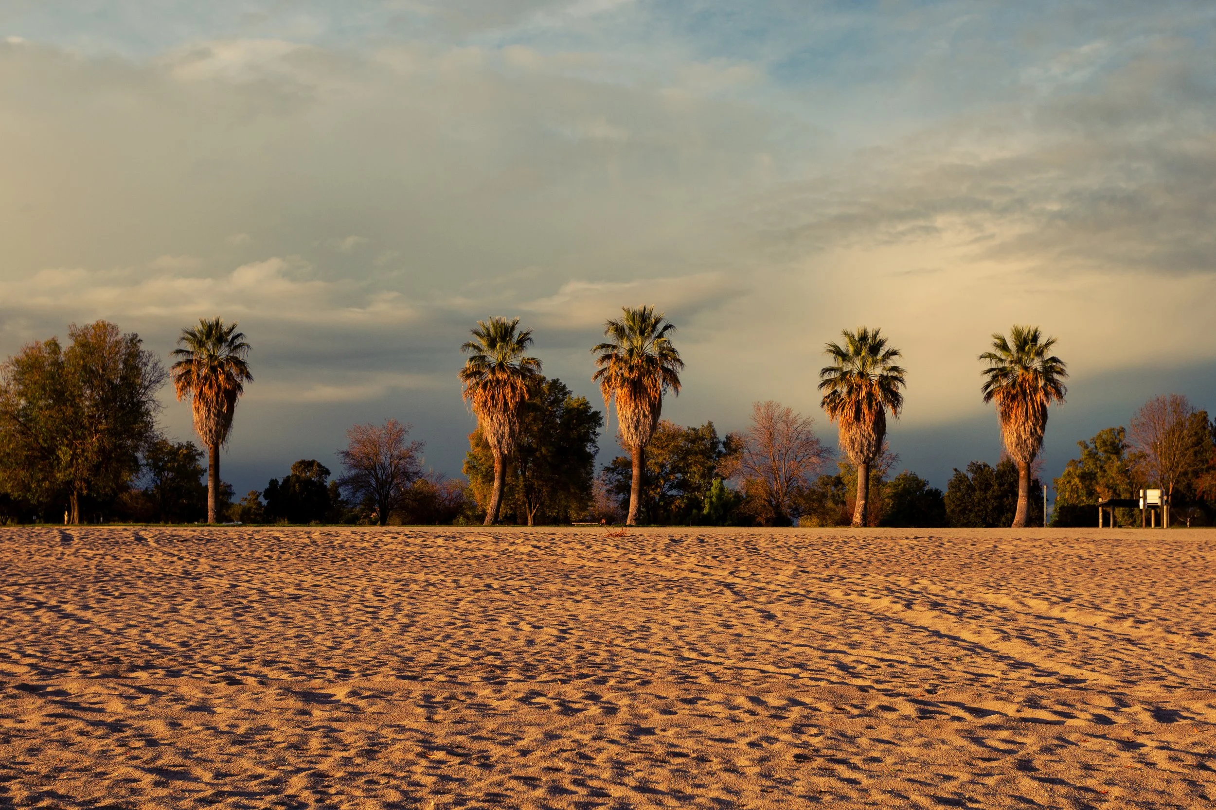 Calin 2023 Digi-7.jpg