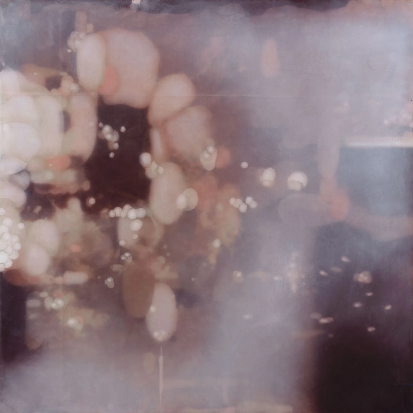 Untitled Nº 548