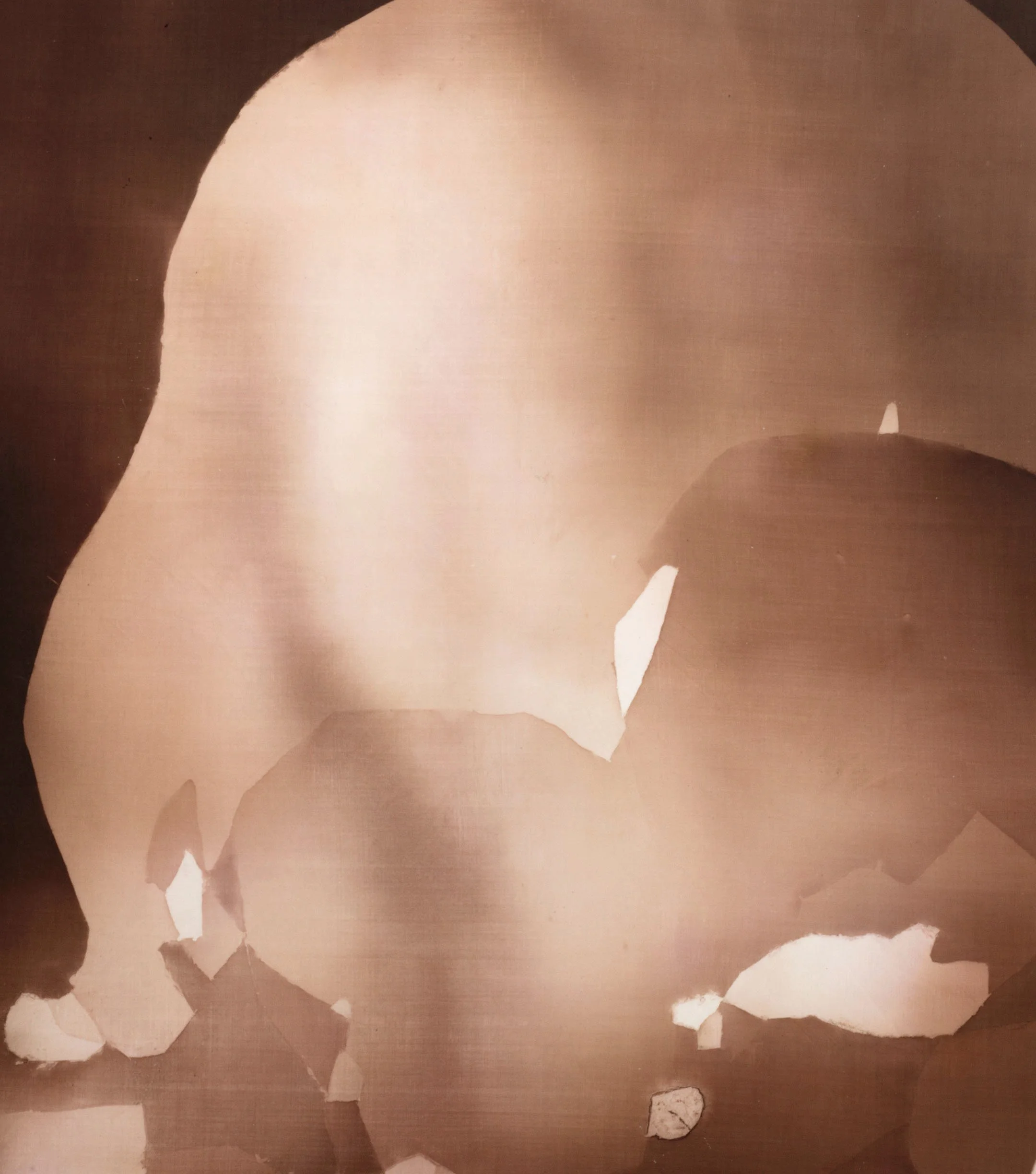 Untitled Nº 1085-1