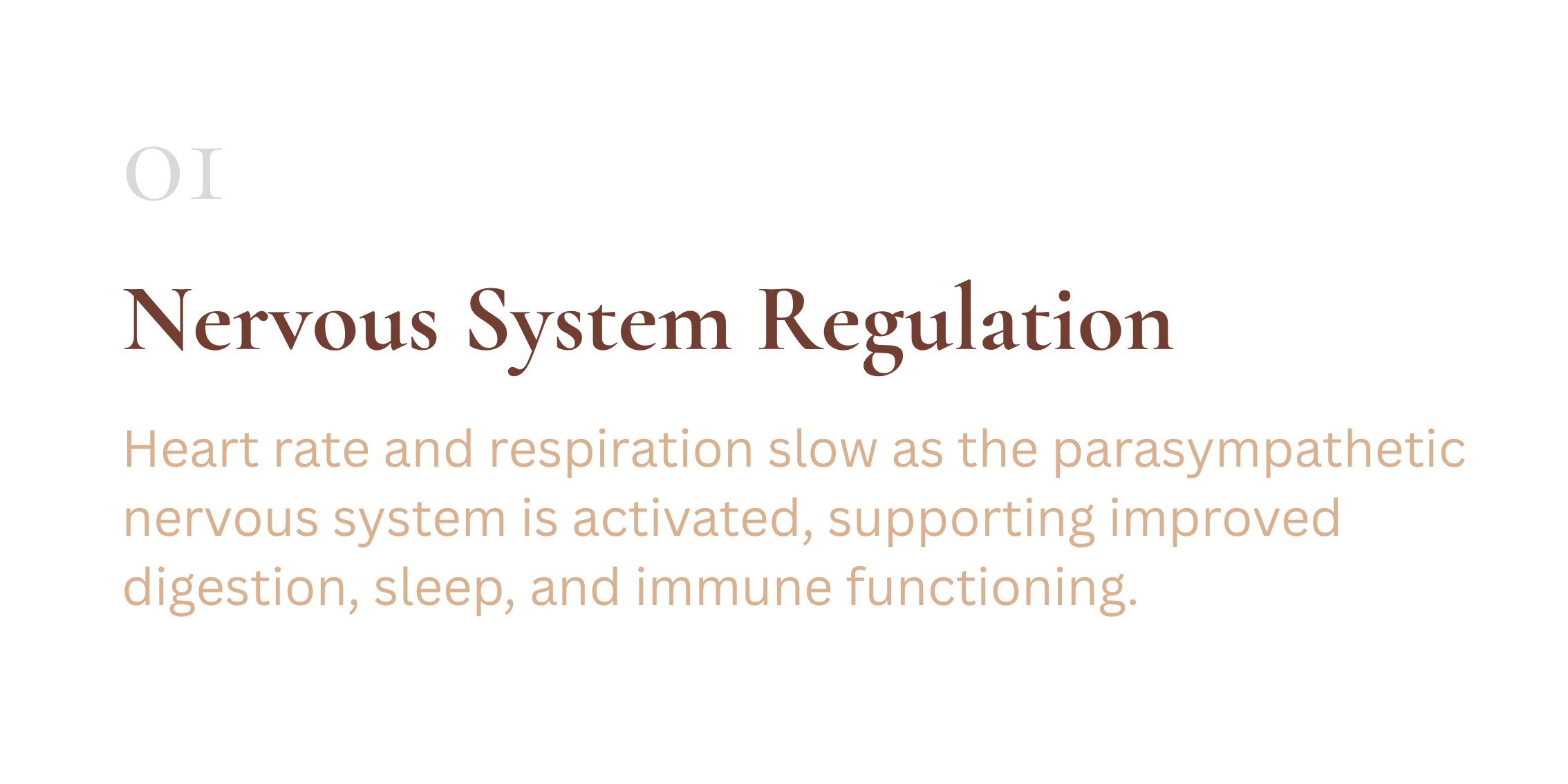 A presentation slide explaining the nervous system regulation, highlighting that heart rate and respiration slow as the parasympathetic nervous system is activated, supporting digestion, sleep, and immune function.