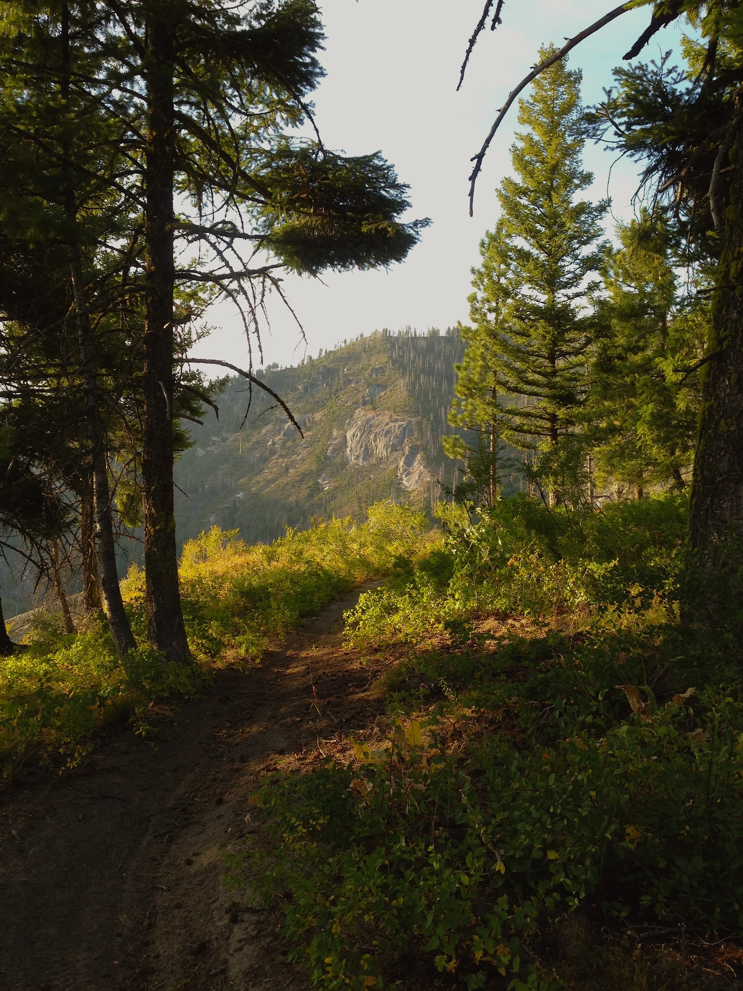 Paradise.