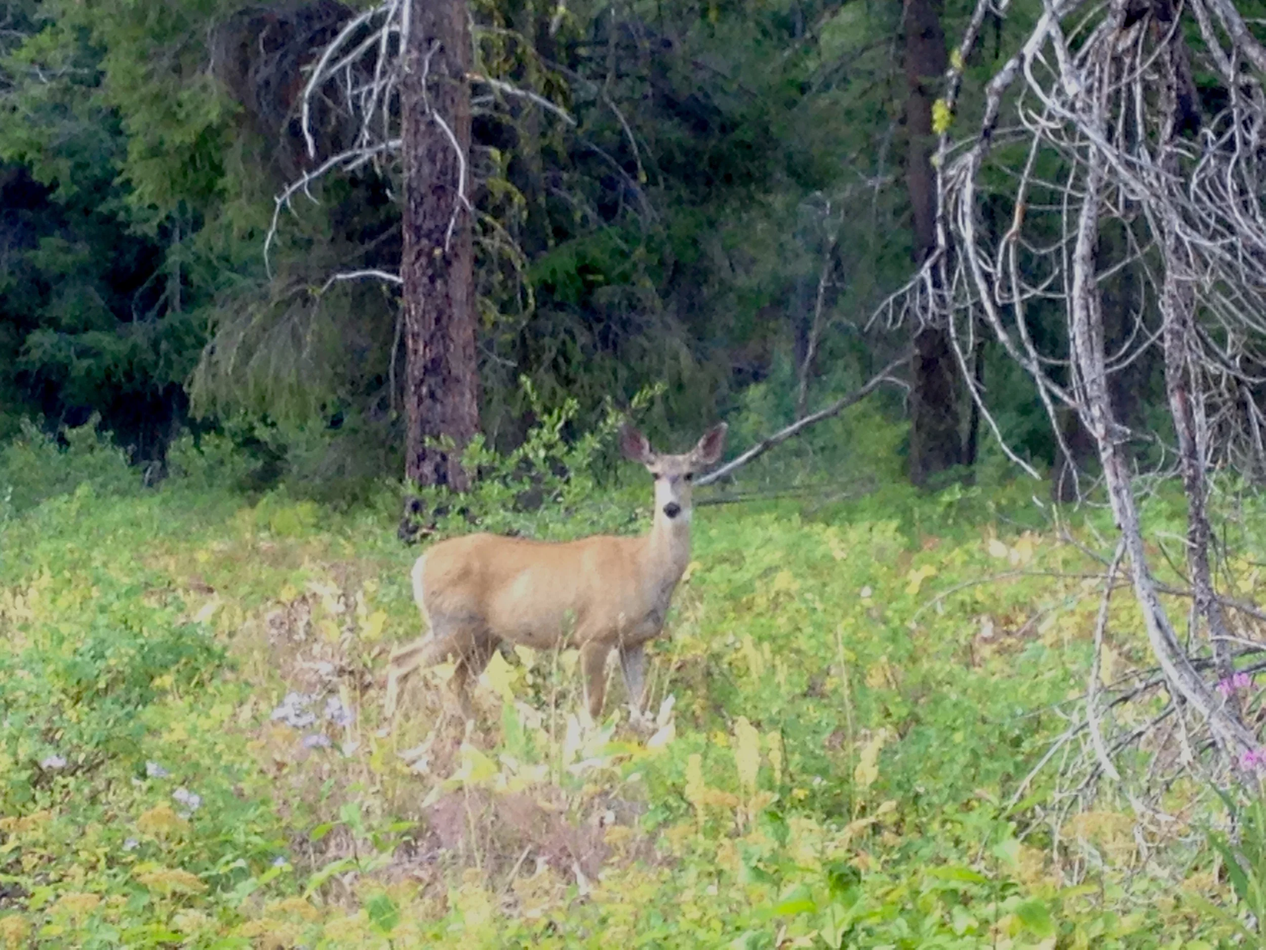 I think we camped in his breakfast nook.