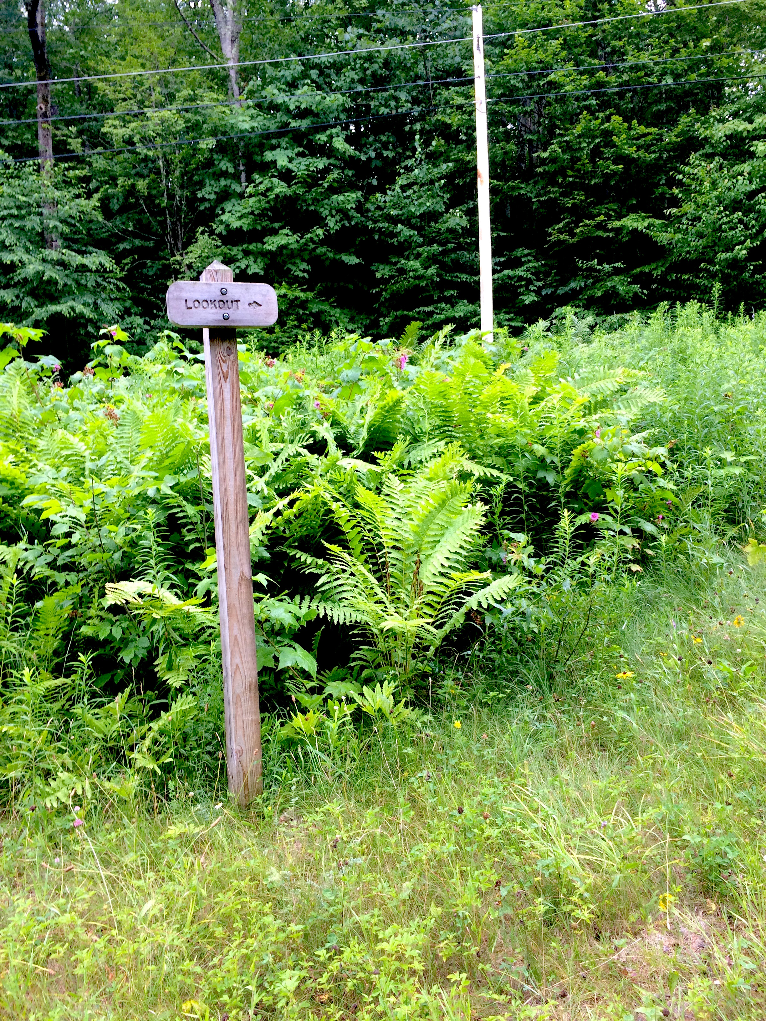 Signpost for Lenny's Lookout.