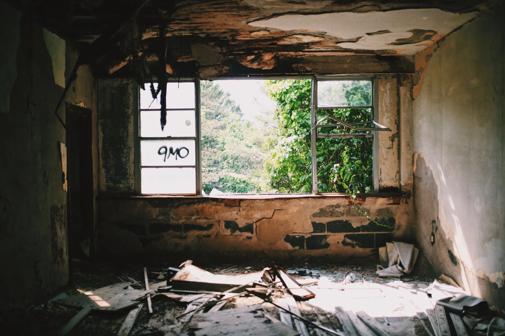 9B6D9B3C-CDC6-489B-8B92-50F5825246F8 2.JPG