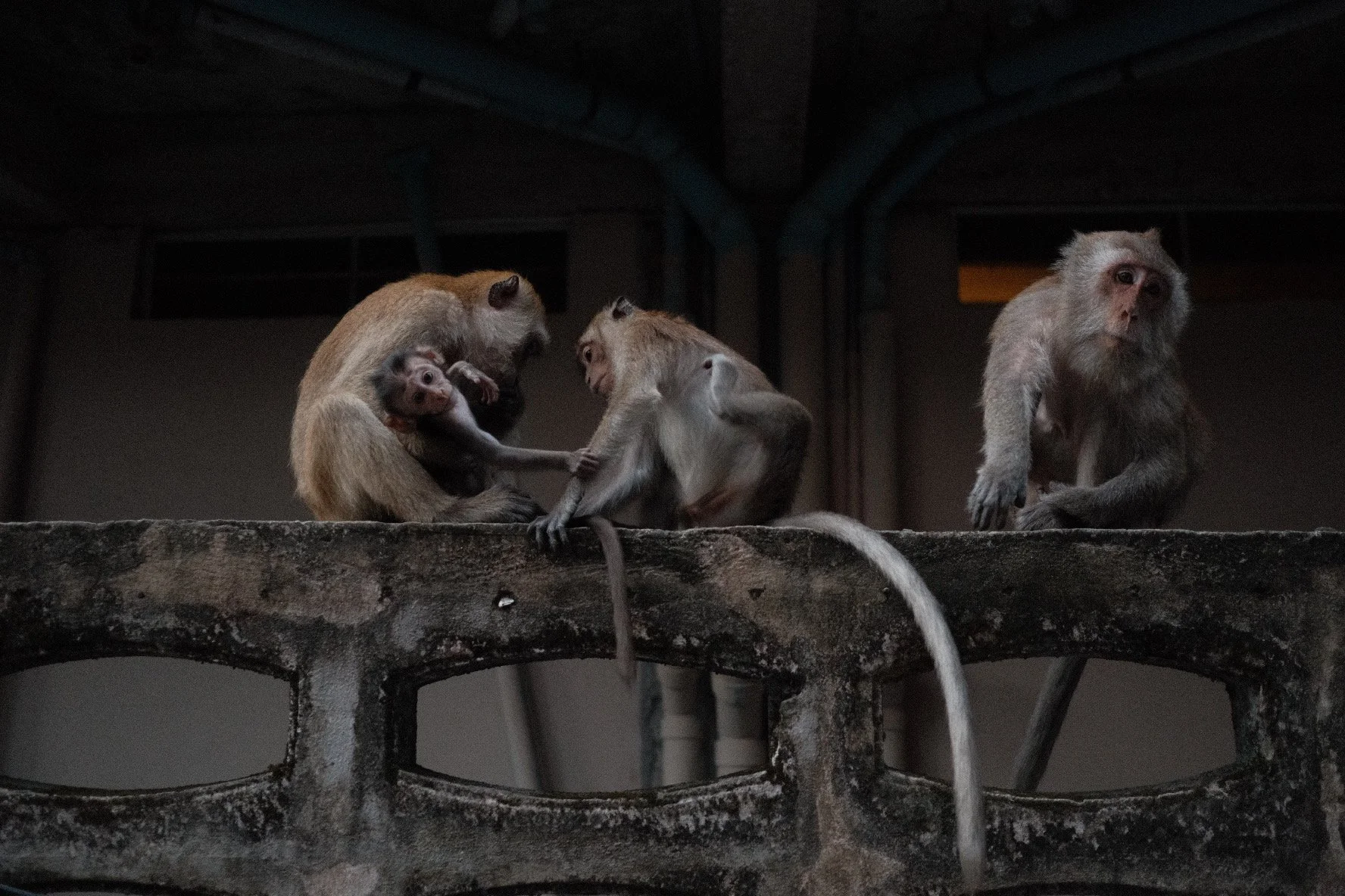 9127356E-3018-423B-9F98-0166DAC6DD01-6050-00000117E5D06394 2.JPG