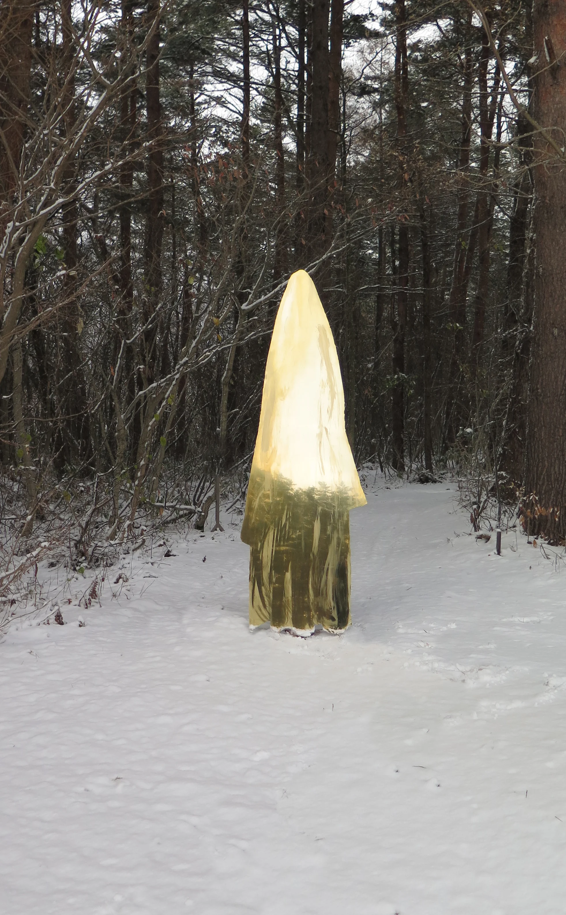 Spectre Snow