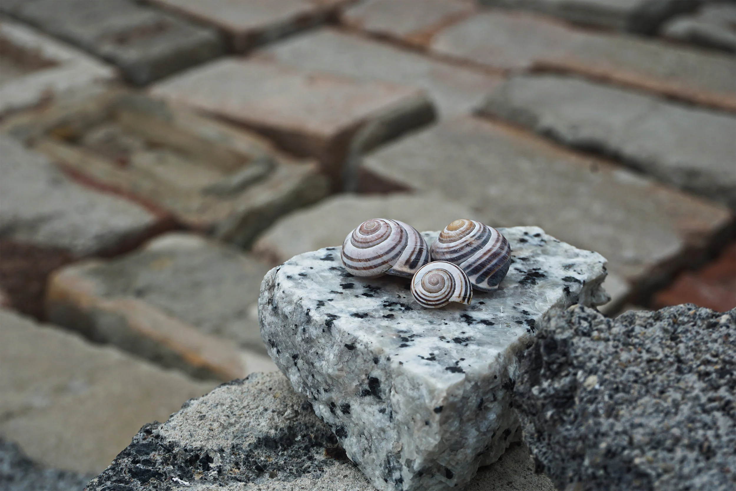 Stone by Stone