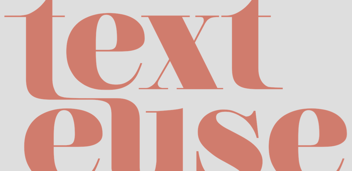 texteuse_AnneBoxleitner_Logo.png