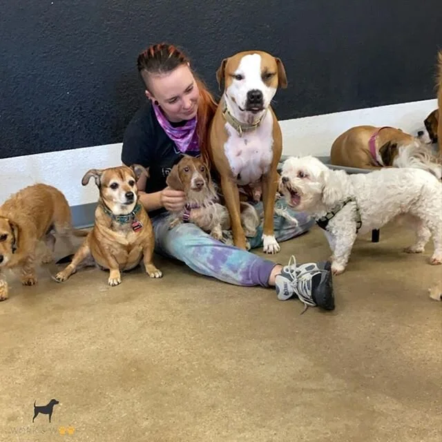 We love lap cuddles during daycare! For pups of ALL sizes (we see you @pancakesinaustin) 😂