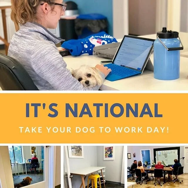 Did you know it's National Take your Dog to Work Day? We had a big celebration planned but alas the universe had other plans.⁠
⁠
We LOVE our coworking clients and pups! It's so integral to what we do here, it's the one part of the concept we will nev