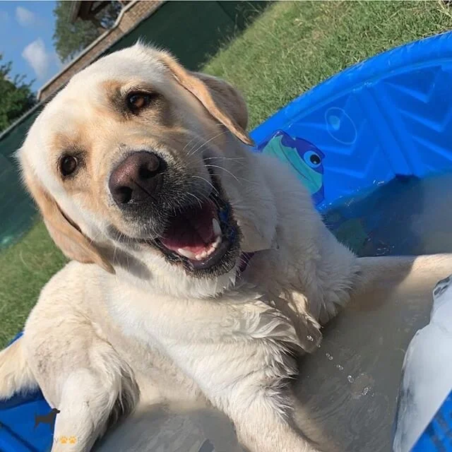 Hope everyone is having an awesome Saturday!
