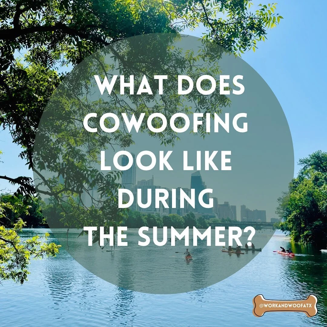 We have gotten SO MANY new requests for cowoofing and I cannot begin to tell you how excited I am to hear that. With that said, summer can be tricky but we are here to break everything down for you!
.
Read on and let us know if you have any other que