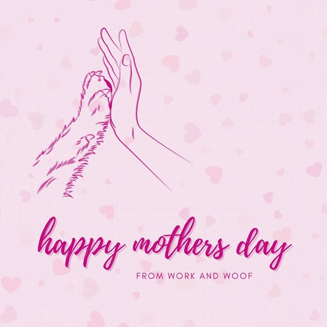 From our family to yours, we hope you have a wonderful day ❤️🐾 we love our dog moms!