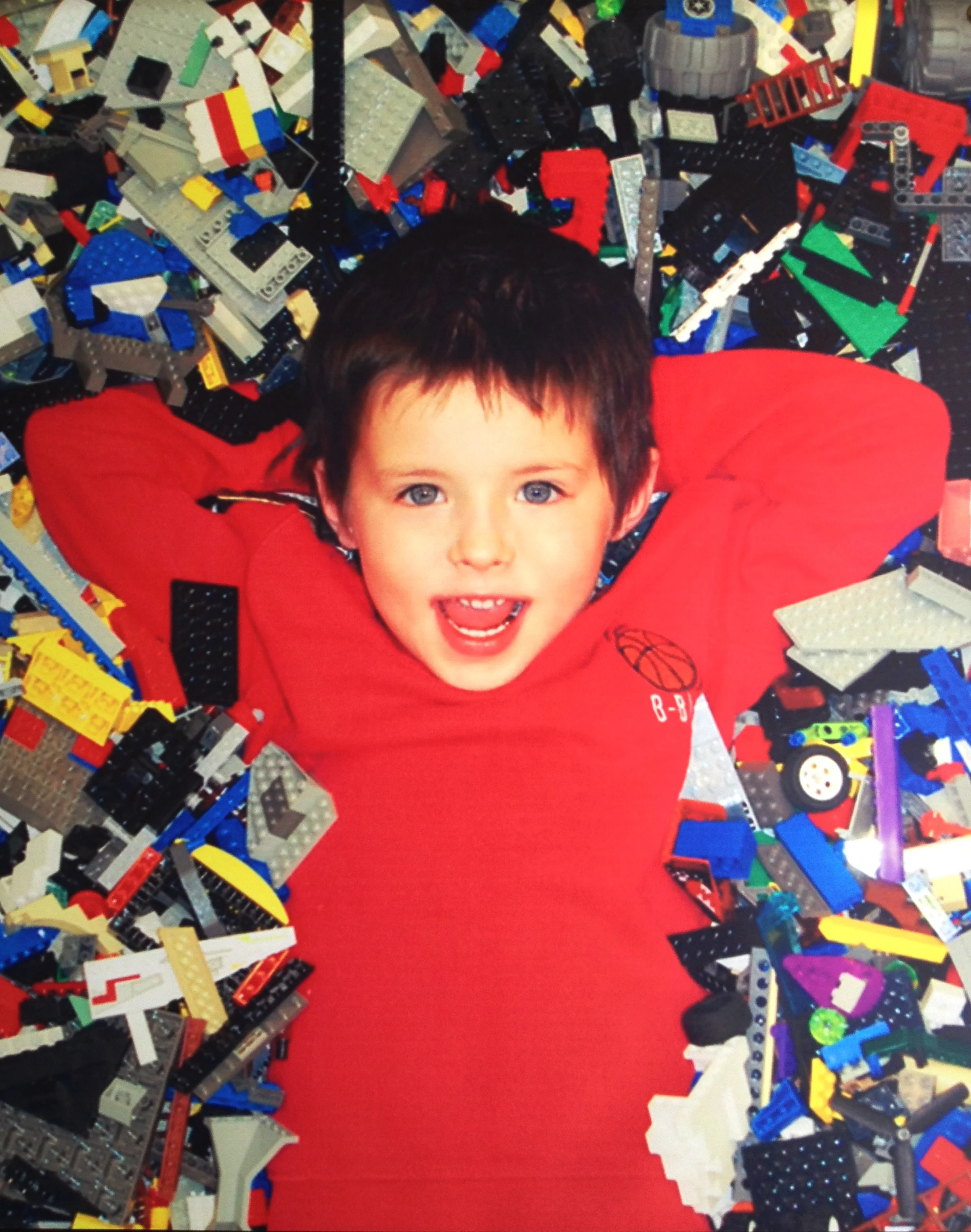 Dak in LEGOs.jpg