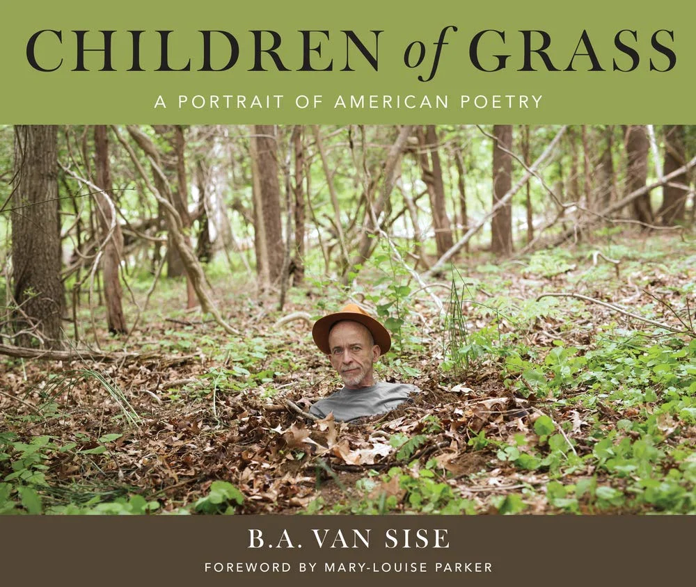 Children of Grass jacket.jpg
