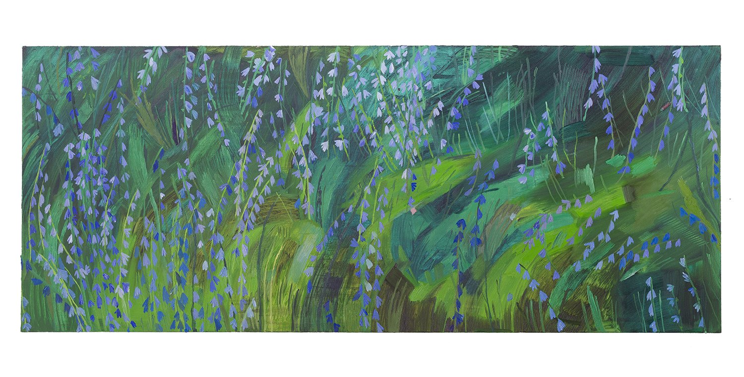 Chicory After The Rain