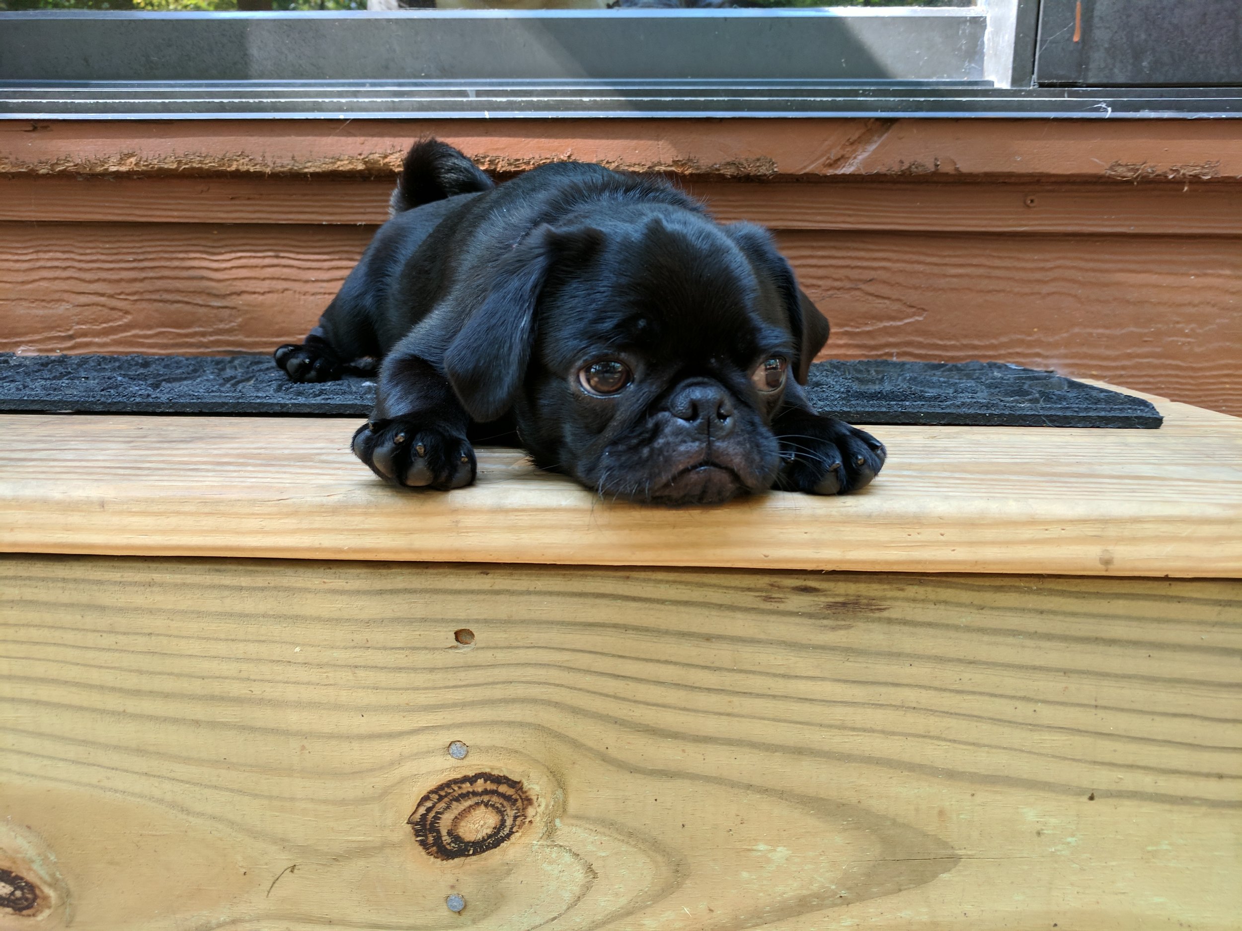 Ella.jpg