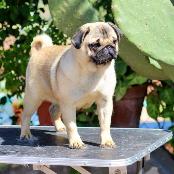 WhatsApp Image 2018-02-25 at 10.36.40 PM.jpeg