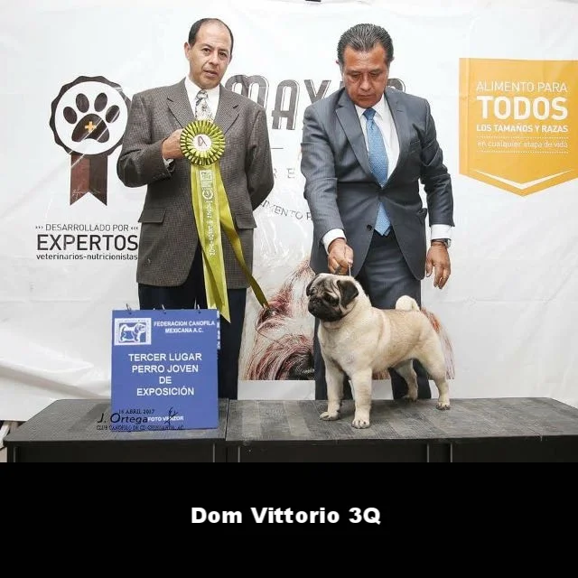 WhatsApp Image 2018-02-25 at 10.36.26 PM (2).jpeg