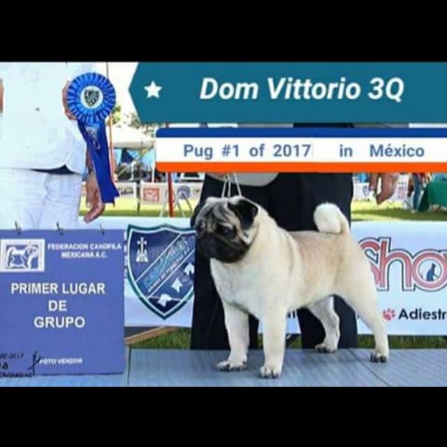 WhatsApp Image 2018-02-25 at 10.36.24 PM (1).jpeg