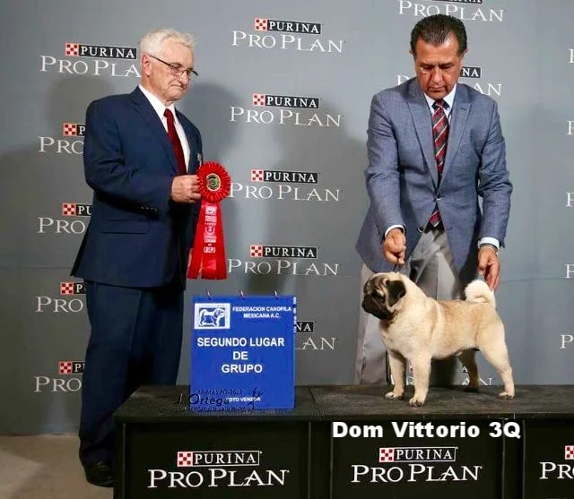 WhatsApp Image 2018-02-25 at 10.36.25 PM.jpeg