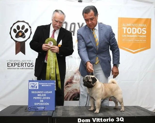 WhatsApp Image 2018-02-25 at 10.36.26 PM (1).jpeg