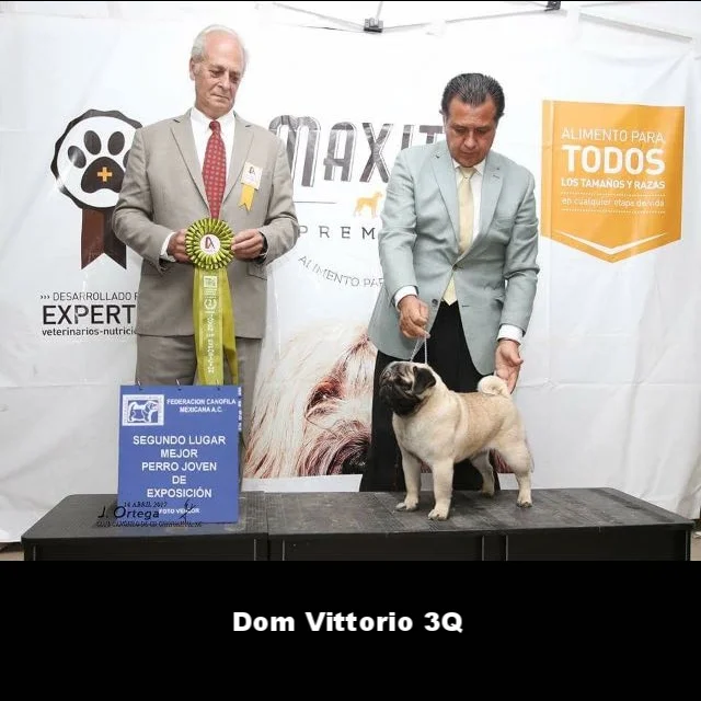 WhatsApp Image 2018-02-25 at 10.36.26 PM.jpeg