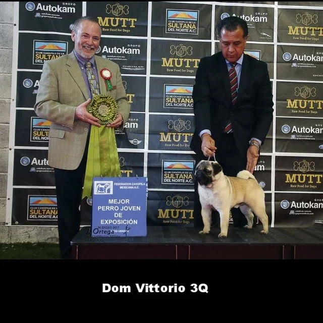 WhatsApp Image 2018-02-25 at 10.36.31 PM (1).jpeg