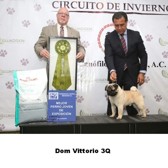 WhatsApp Image 2018-02-25 at 10.36.31 PM.jpeg