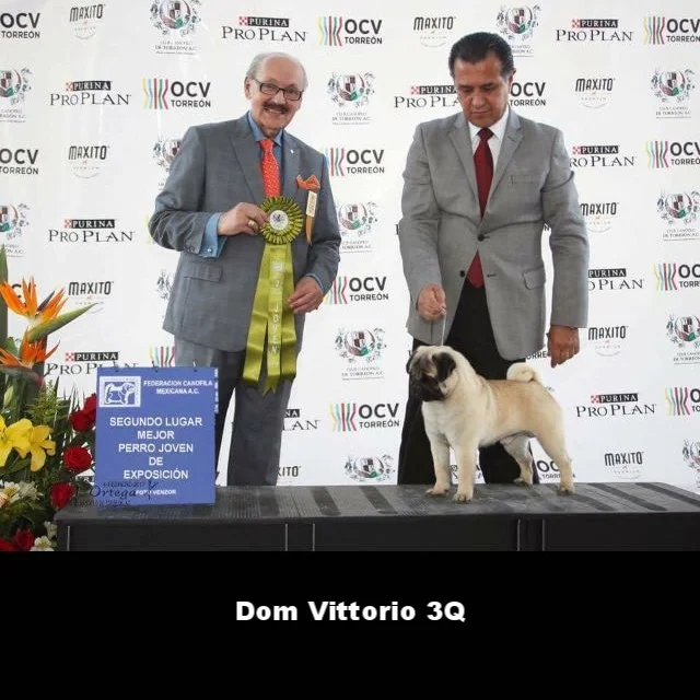 WhatsApp Image 2018-02-25 at 10.36.32 PM (1).jpeg