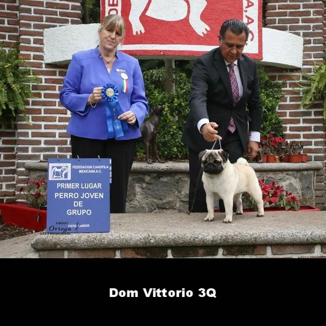 WhatsApp Image 2018-02-25 at 10.36.32 PM (2).jpeg