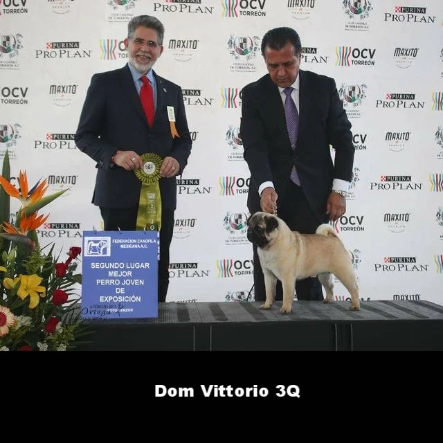 WhatsApp Image 2018-02-25 at 10.36.32 PM.jpeg