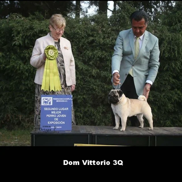 WhatsApp Image 2018-02-25 at 10.36.33 PM.jpeg