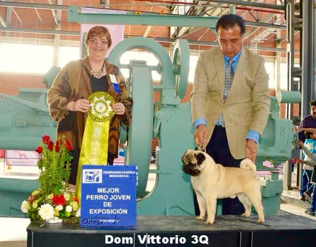 WhatsApp Image 2018-02-25 at 10.36.35 PM (2).jpeg