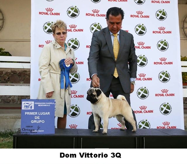 WhatsApp Image 2018-02-25 at 10.36.35 PM.jpeg