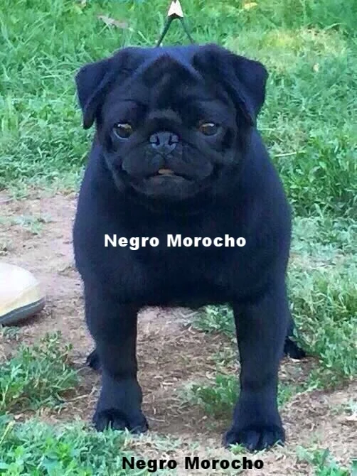 WhatsApp Image 2018-02-25 at 10.36.34 PM.jpeg