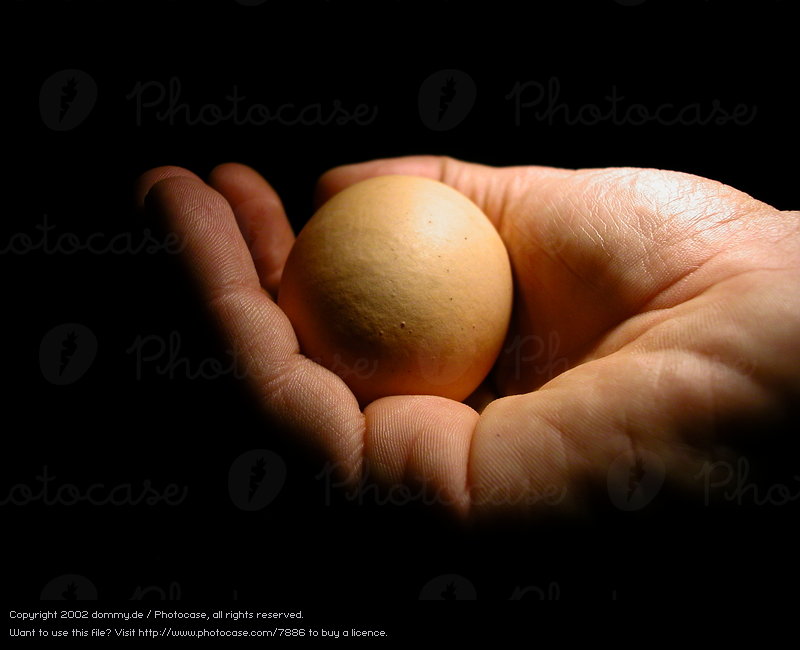 7886-hand-warmth-fingers-safety-physics-egg-photocase-stock-photo-large.jpeg