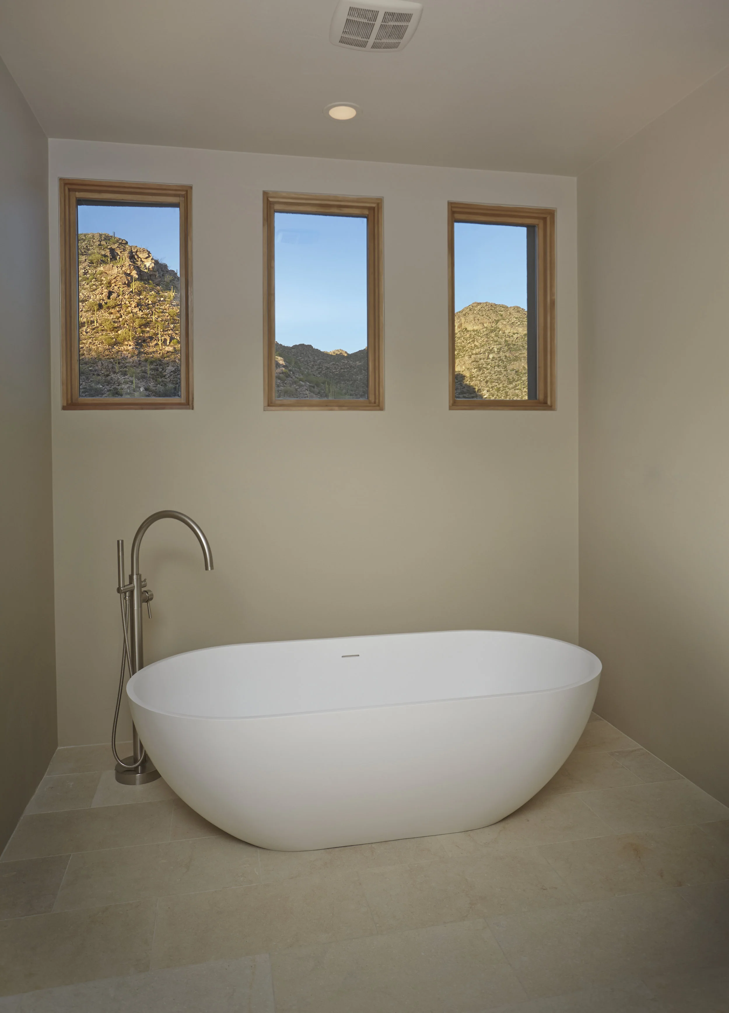 Master Bath Tub.jpg