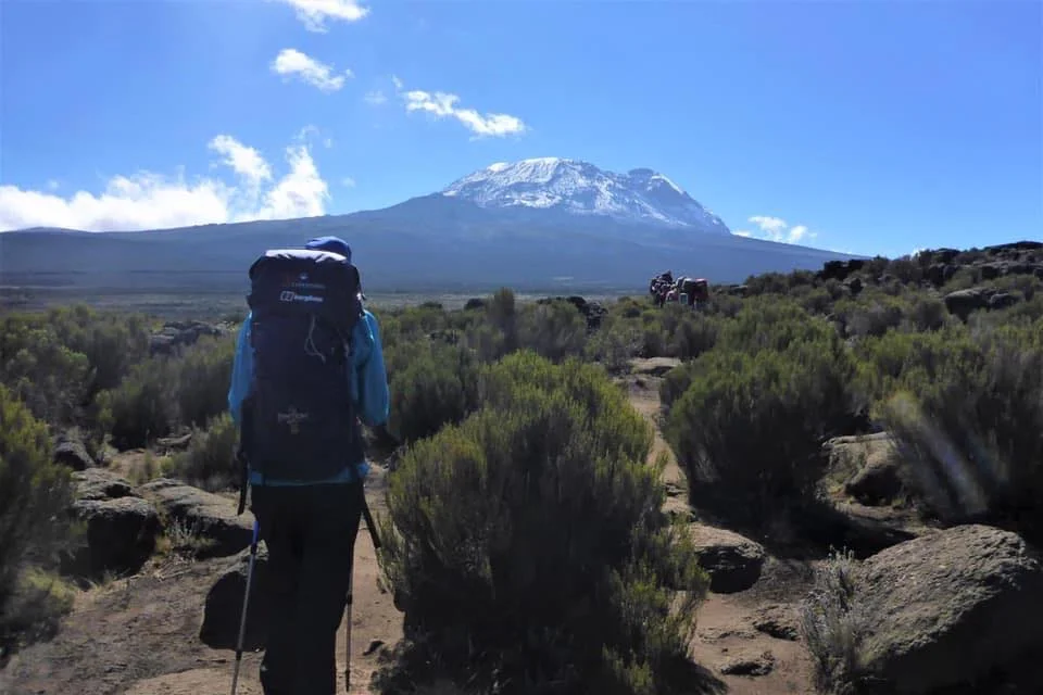 Kilimanjaro.jpg