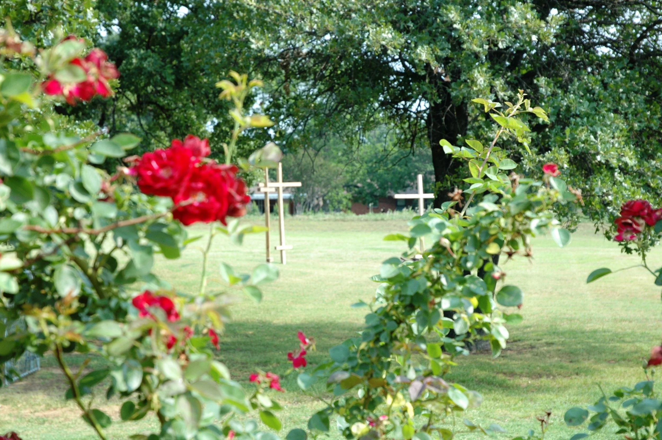 DSC_6378.JPG