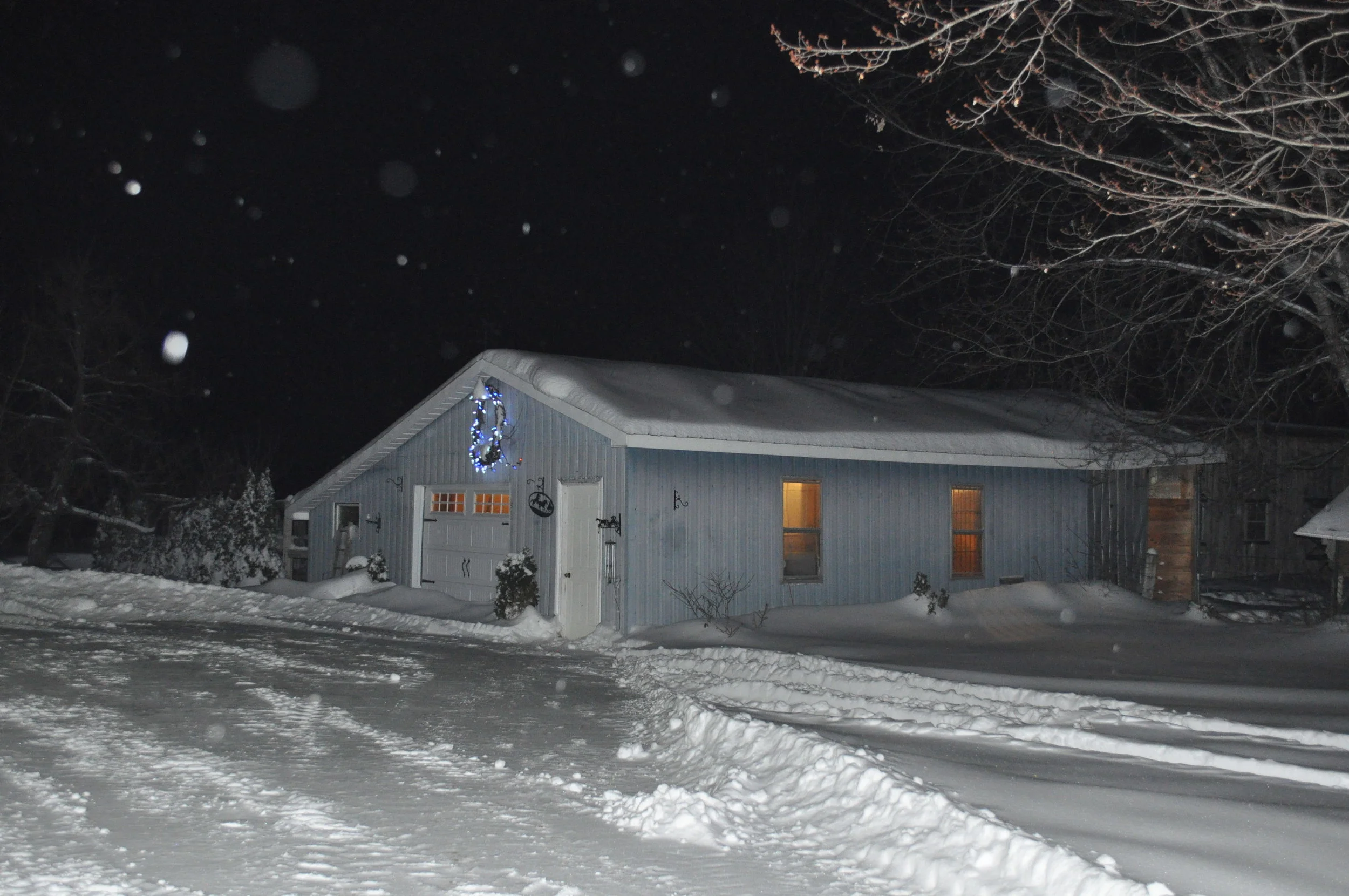 Helmcrest Wooden Legs Registered Purebred Fainting Goat Breeder