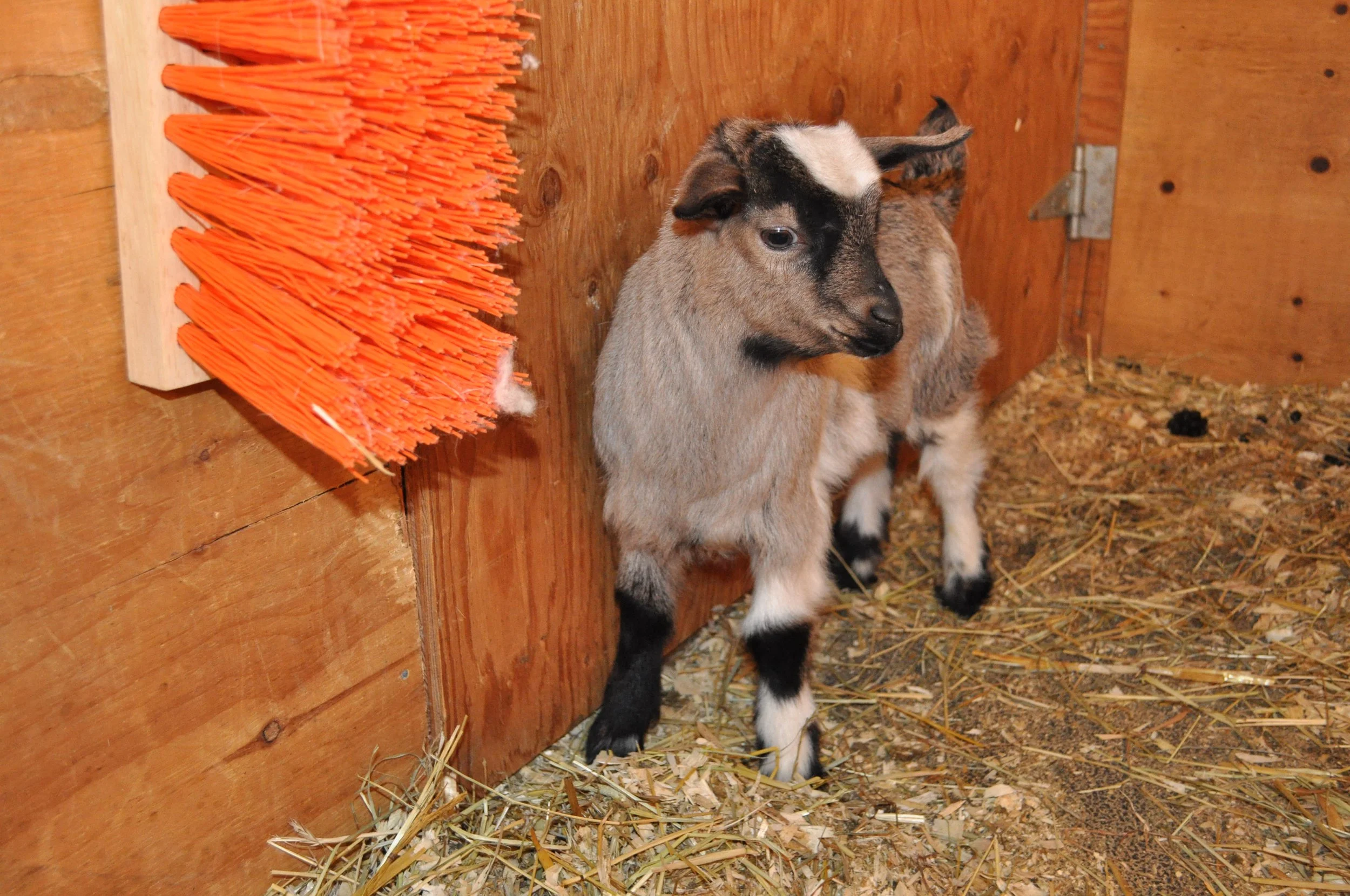 Horizons boy 101.JPG