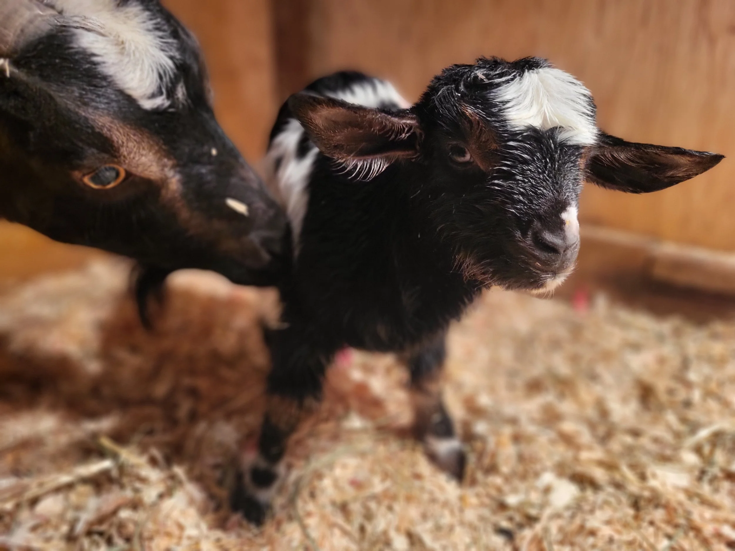 "Mom, I'm clean already!"