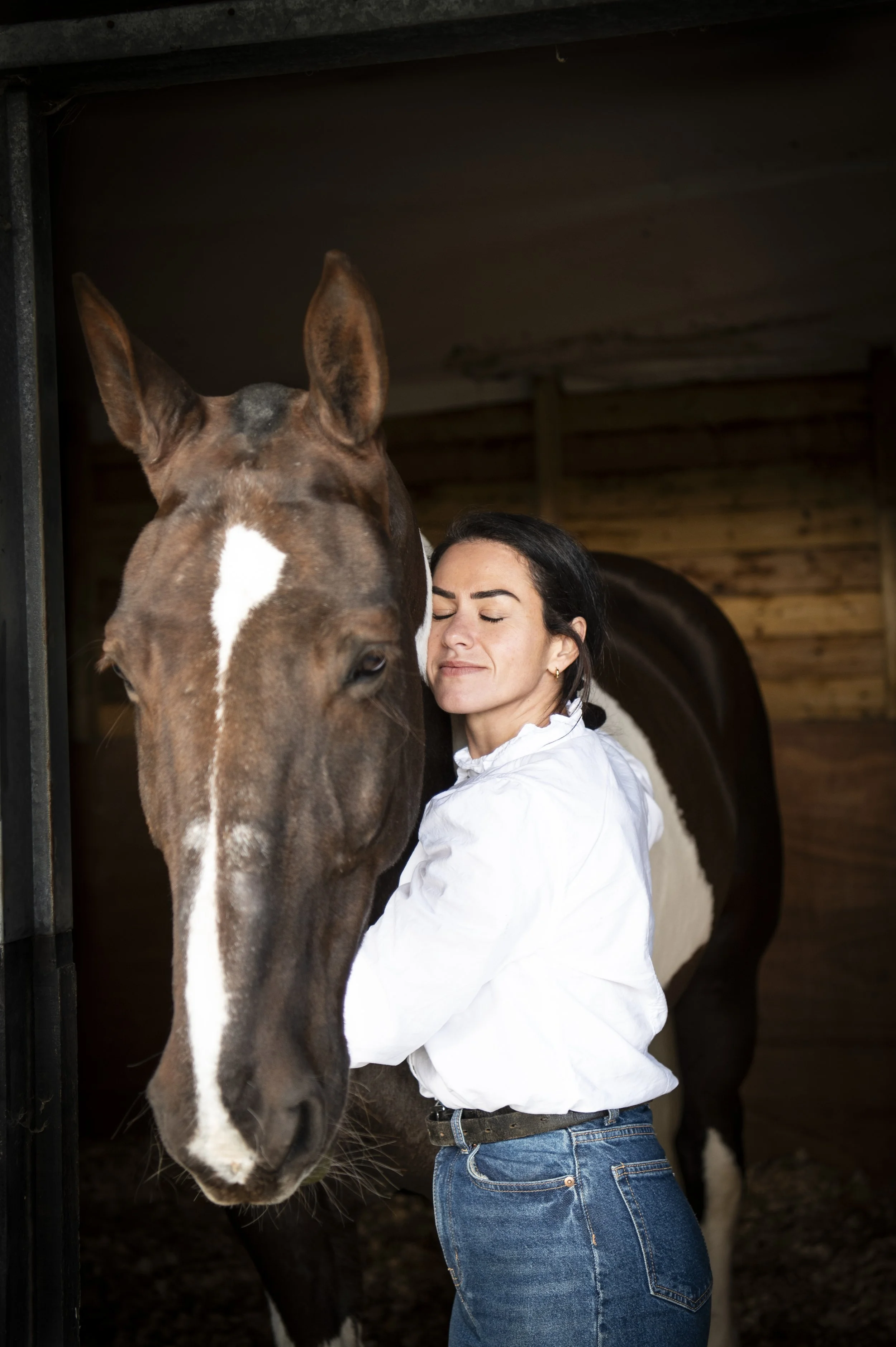 equine photography east sussex